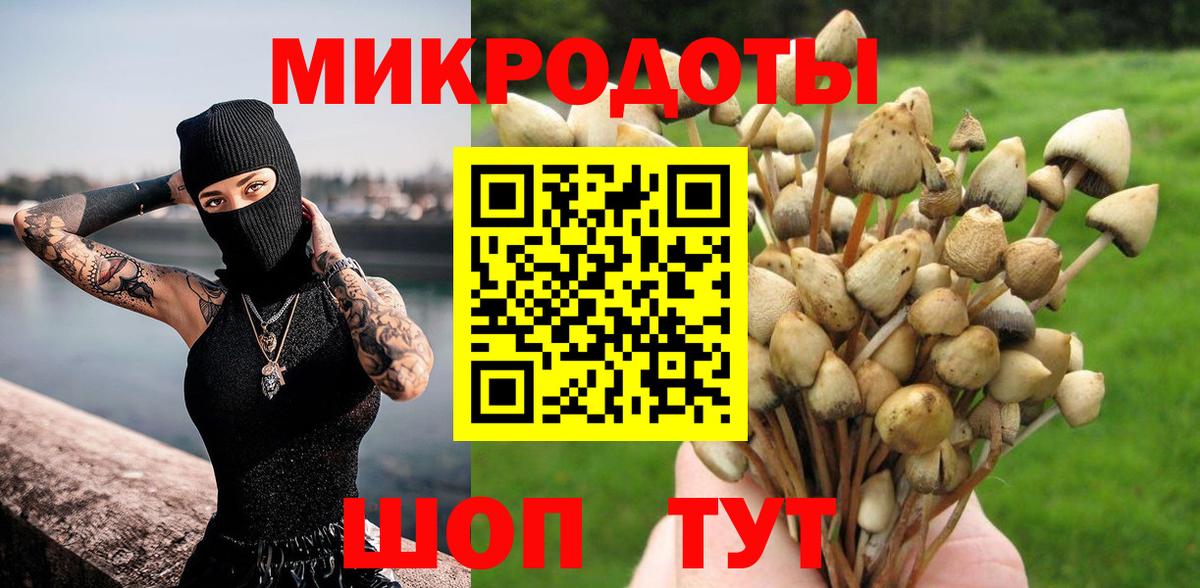 Псилоцибиновые грибы мицелий  Псилоцибиновые грибы прущие грибы  Вход с VPN  Электрогорск 