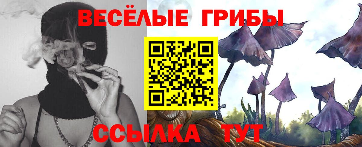 Псилоцибиновые грибы Magic Shrooms Электрогорск